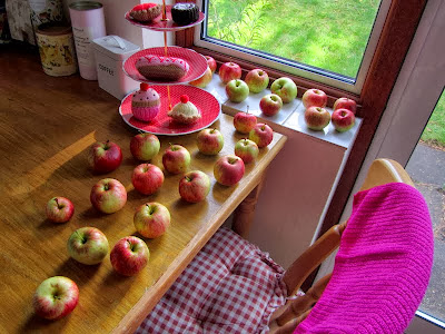 apples on the kitchen table
