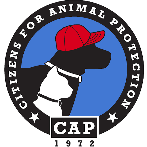 Citizens For Animal Protection