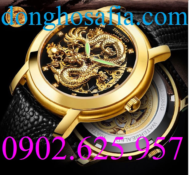 Đồng hồ nam cơ DN-weid 3088
