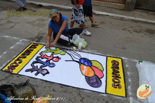 Alfombras de Flores Araira 2011