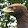 Jimmy Tilborghs Jimmy Tilborghs's profile photo