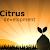 Citrus Development