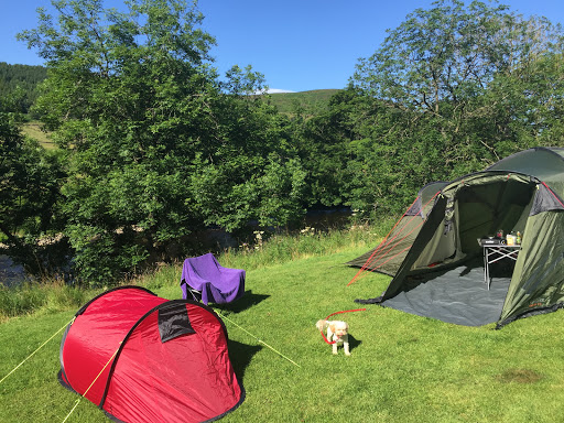 Camping 