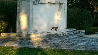 Photos of Mirogoj Cemetery