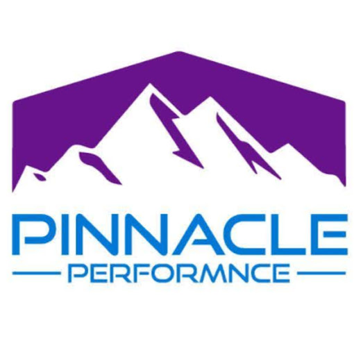 Pinnacle Performance - Functional Fitness Gym logo