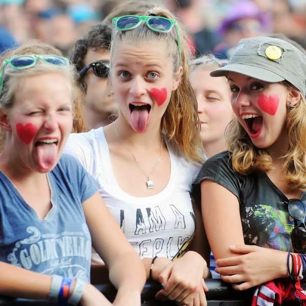 Festival-goers react during a concert of the band Detroit on July 19, 2014, during the 23rd edition of the Festival des Vieilles Charrues in Carhaix-Plouguer, western France.