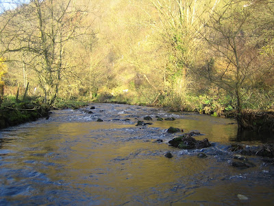Looking upstream at site D22
