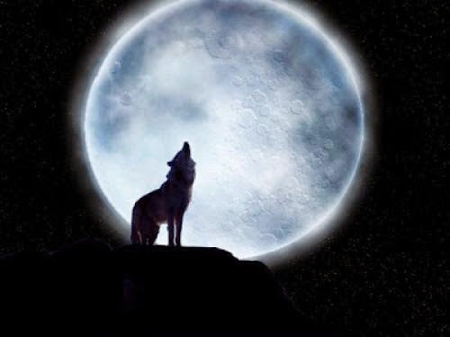 Archetype Totem Animal Wolf The Brave One