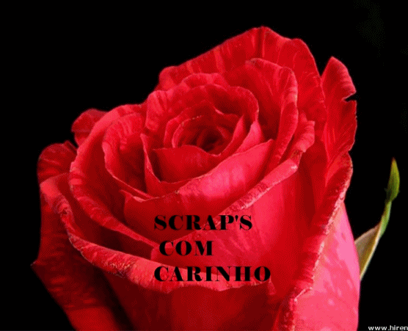 sccnho.gif