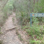 Eastern end of Fairlylands track (67221)