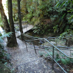 Leura Cascades Walkway (95002)