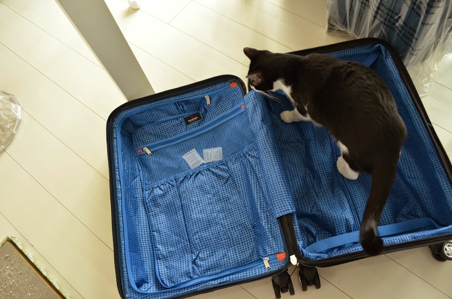 リカルド　スーツケース