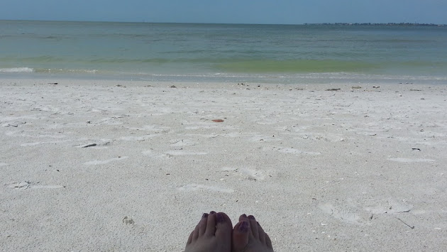 Cover photo