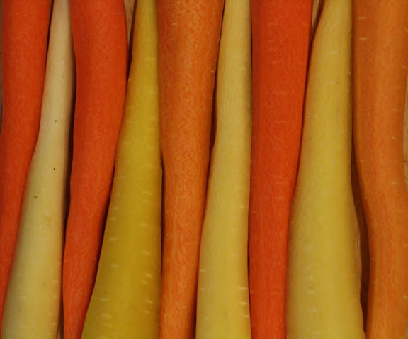 yellow and orange carrots arranged in stripes