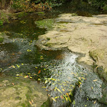 Crossing Berowra Creek north downstream of Zig Zag Creeek (334412)