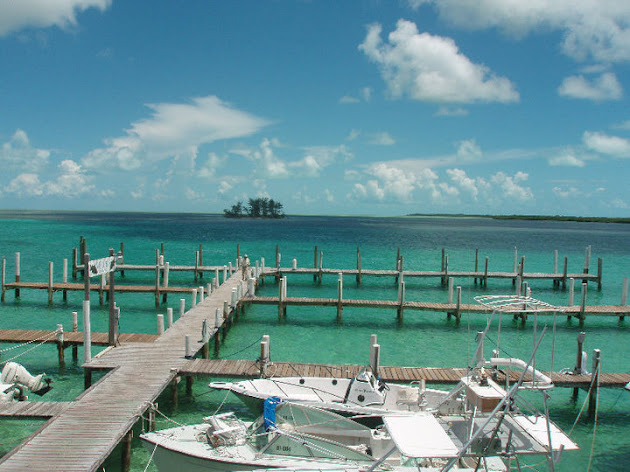 Cover photo