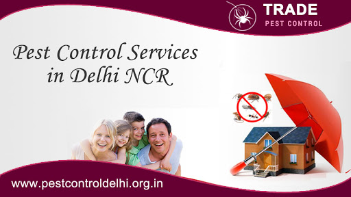 Trade Pest Control, B-111, Sector 1 Dwarka, Dwarka, New Delhi, Delhi 110075, India, Pesticide_Store, state UP
