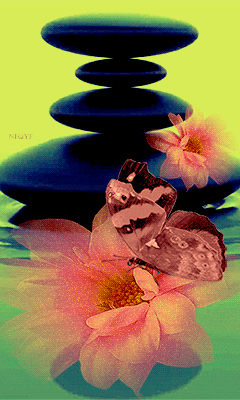 0_dab75_d77aa581_orig.gif