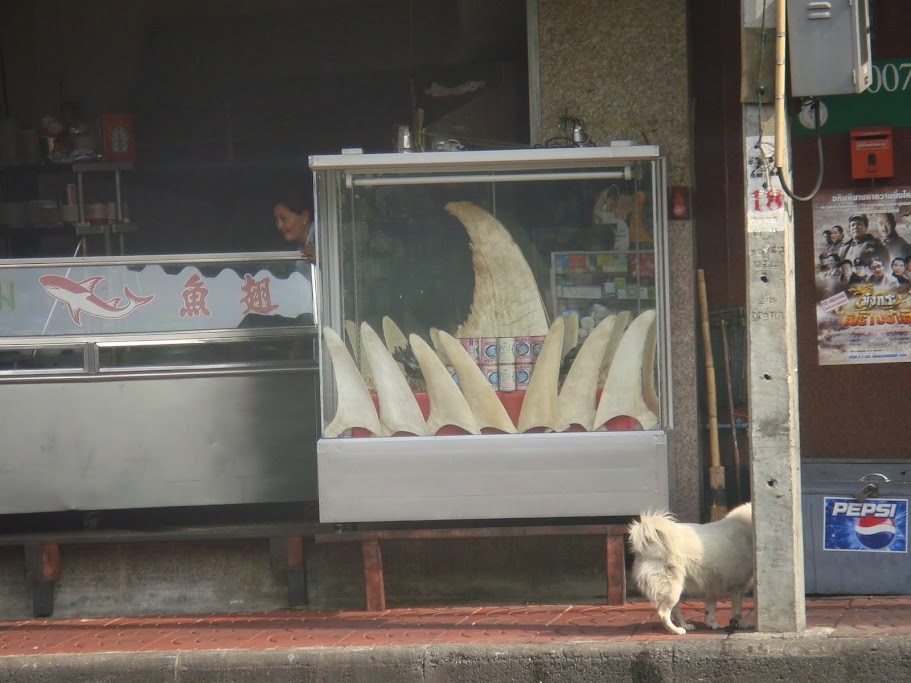 ChinaTown Bangkok