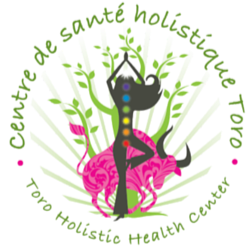 Toro Holistic Health logo