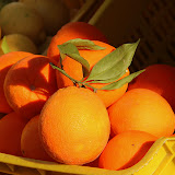 Fresh Citrus At The Roadside Market - Amalfi Coast, Italy