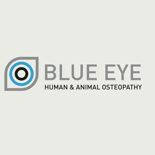 Blue Eye Healthcare Limited logo
