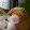PandAsuna GamerOtaku PandAsuna GamerOtaku's profile photo