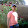 ANDY RAFAEL CIRILO TORREALBA ANDY RAFAEL CIRILO TORREALBA's profile photo