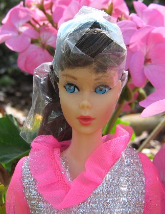 I found a Mod Standard Barbie, She came out before the TNT in the