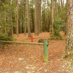 Locked gate at the Pines Picnic Area in the Watagans (320801)