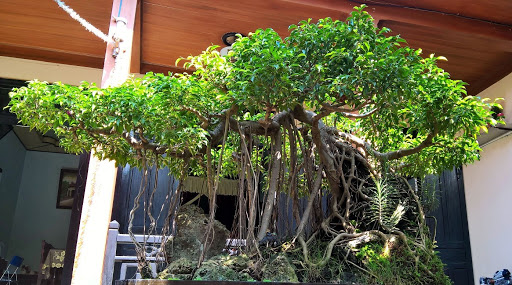 Betel Garden Villas