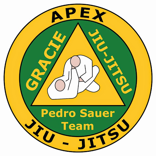 Apex Jiujitsu logo