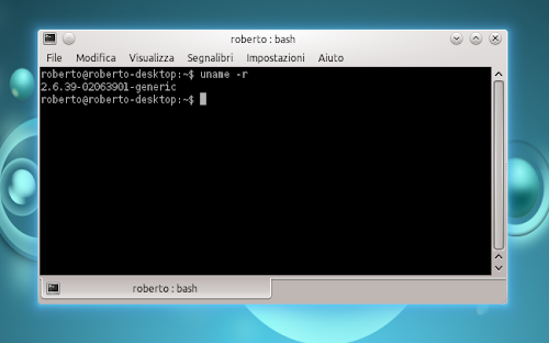 Kernel 2.6.39.1 su Ubuntu 