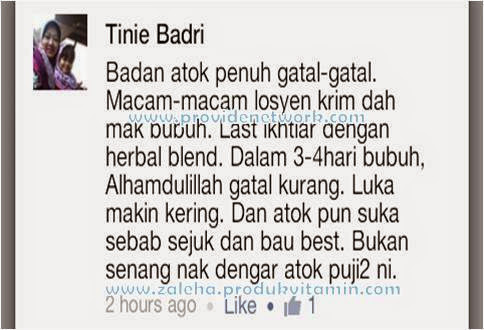 testimoni herbal blend shaklee