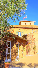 A look at Viansa Winery grounds