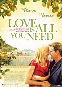 Love Is All You Need (2012) BluRay 720p 700MB Free Download Movies - mediafireload