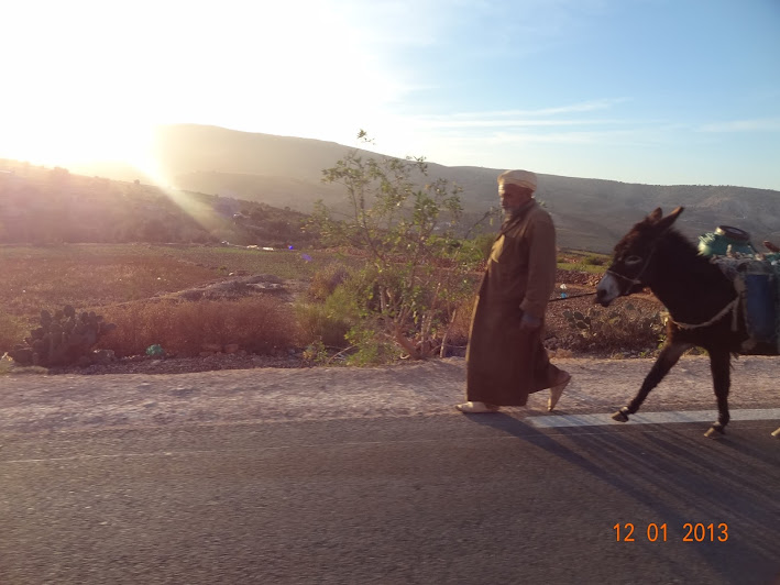 marrocos - Marrocos e Mauritãnia a Queimar Pneu e Gasolina - Página 2 DSC05535