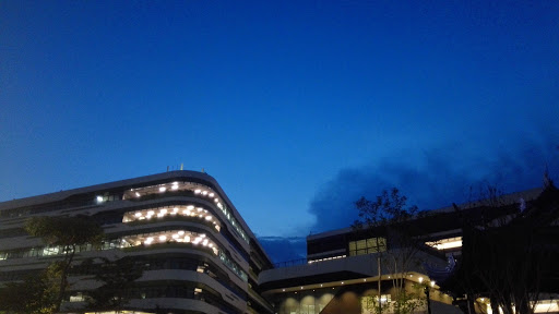 Singapore University of Technology and Design