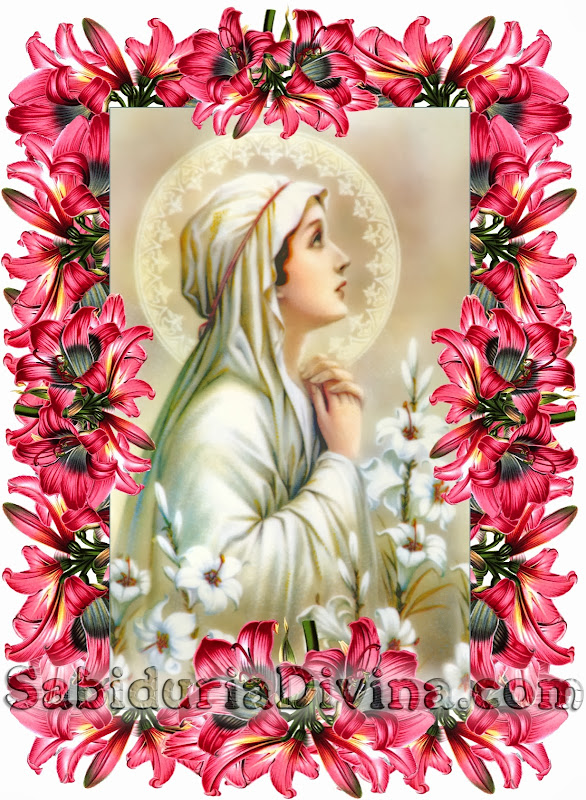 ¡Oh Maria sin pecado concebida! ¡Ruega por nosotros, que recurrimos a ti!
