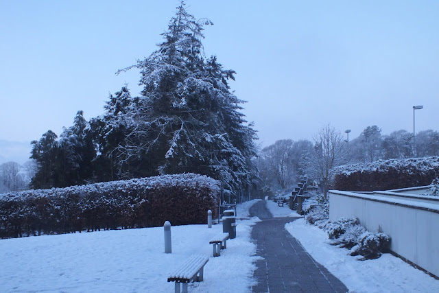Snow on Campus