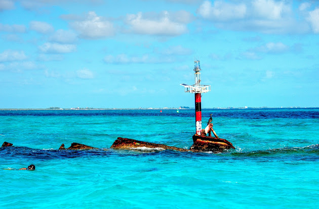 Cover photo