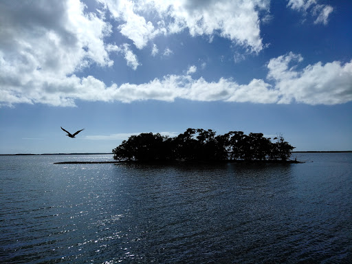 Tour Agency «Everglades National Park Boat Tours», reviews and photos
