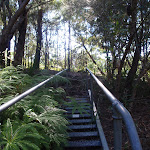 Metal staircase (116218)