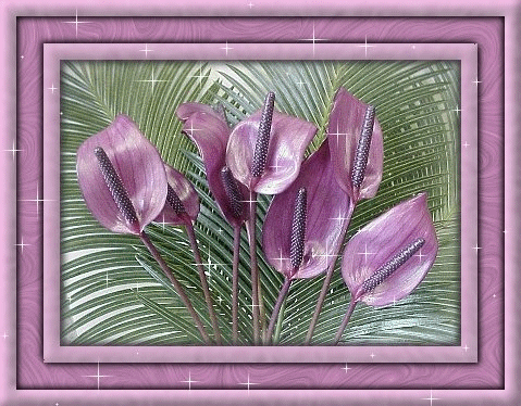 Gif de flor Gif de flor