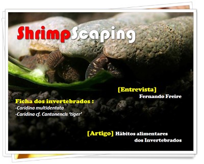 ShrimpScaping3