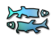 Pisces