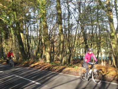 Two cyclists passing trees