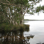 Myall Lakes