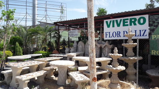 Vivero el Vergel, José María Morelos 1400, San Ricardo, 88632 Reynosa, Tamps., México, Vivero mayorista | TAMPS