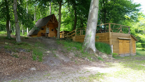 Le Coeur de la Forêt